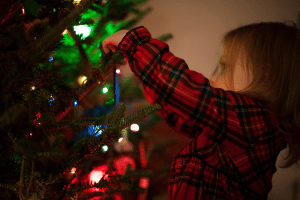 Waar kunt u een mooie kunstkerstboom kopen?